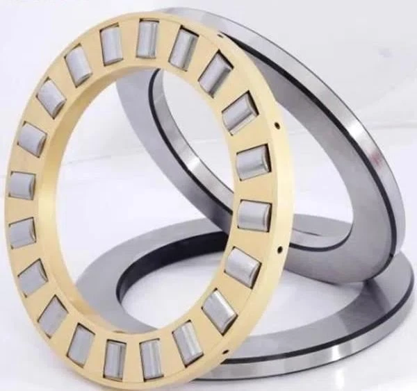 812/1000 M Single Row Cylindrical Roller Thrust Bearing